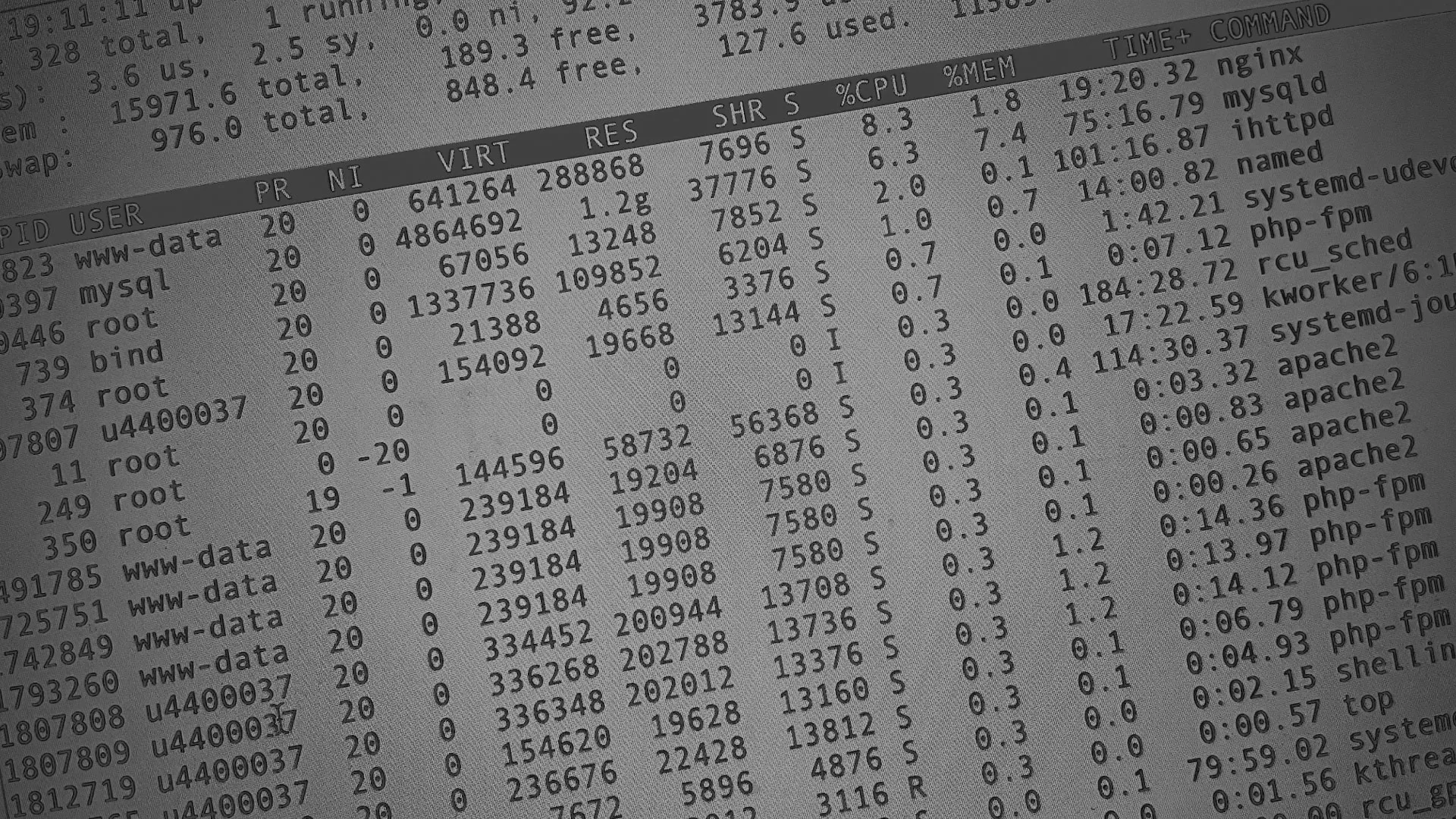 Настройка сервера в Кологриве